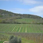 Barcavecchia Castel Viscardo