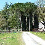 Barcavecchia Castel Viscardo