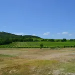 Barcavecchia Apartment Castel Viscardo