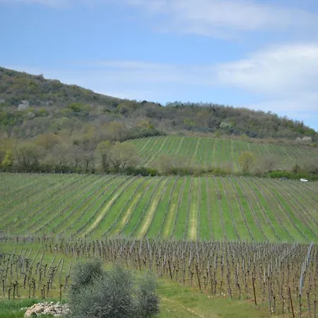 Barcavecchia Castel Viscardo