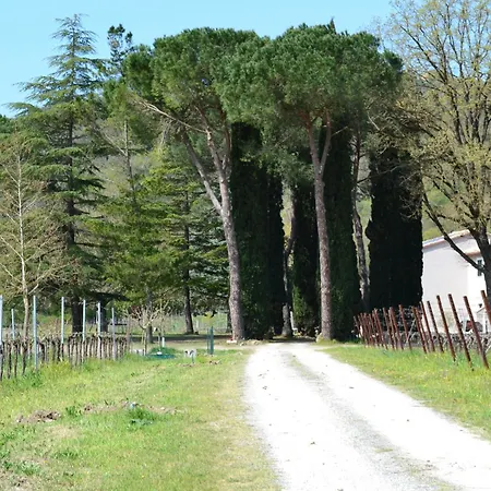 Barcavecchia Castel Viscardo