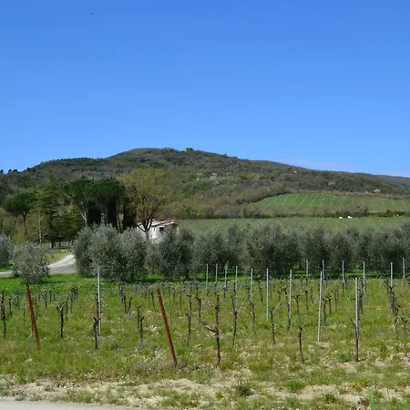 Barcavecchia * Castel Viscardo