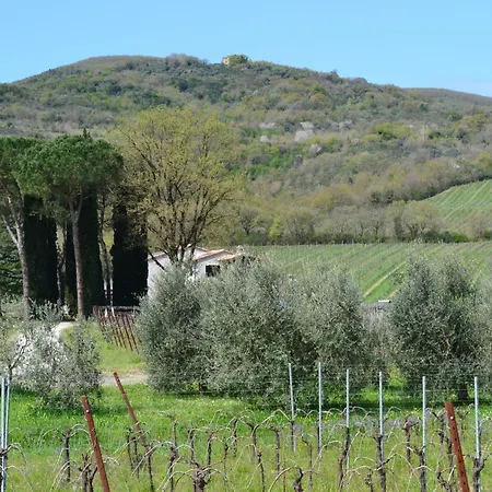 Barcavecchia Apartamento