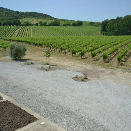 Barcavecchia * Castel Viscardo