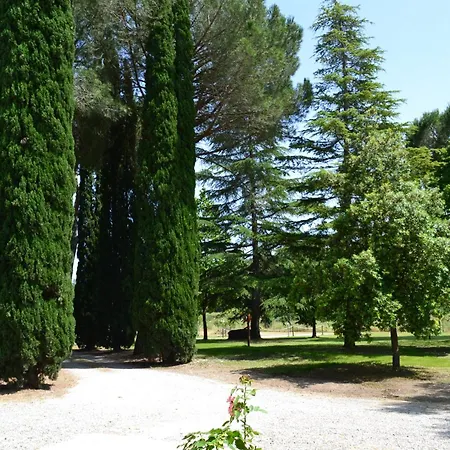 Barcavecchia Apartment Castel Viscardo
