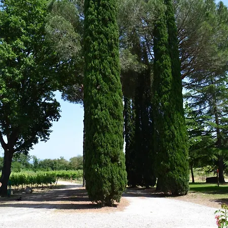 Barcavecchia *