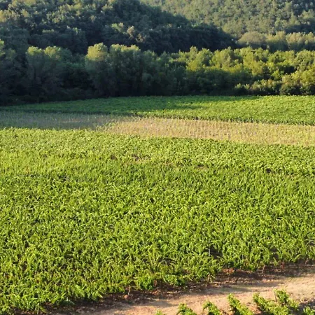 Appartamento Barcavecchia Castel Viscardo