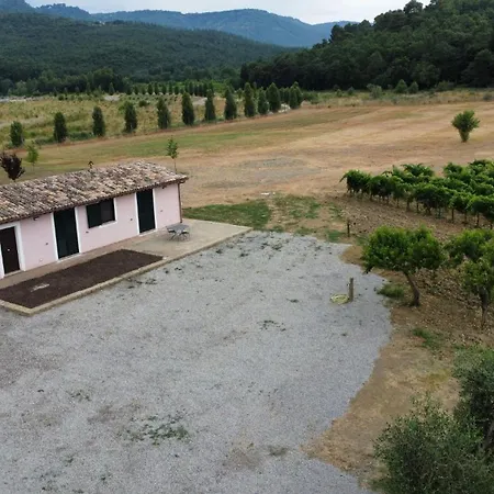 Barcavecchia