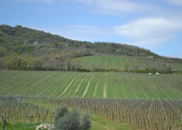 Barcavecchia Castel Viscardo