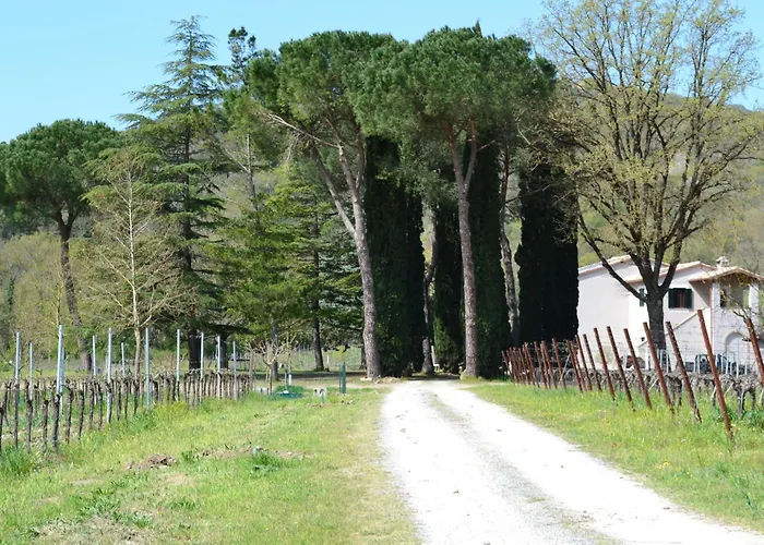 Barcavecchia Castel Viscardo