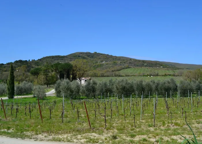 Barcavecchia * Castel Viscardo