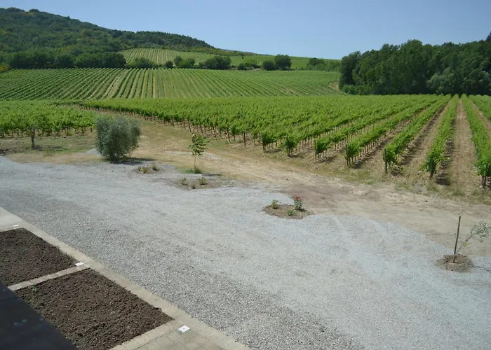 Barcavecchia * Castel Viscardo