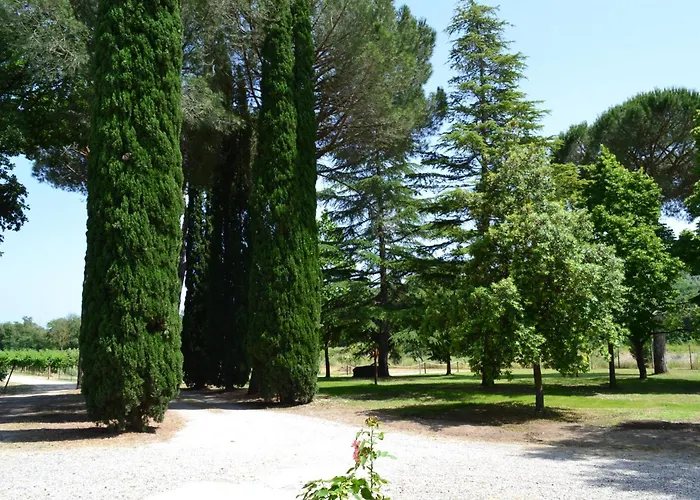 Barcavecchia アパート Castel Viscardo