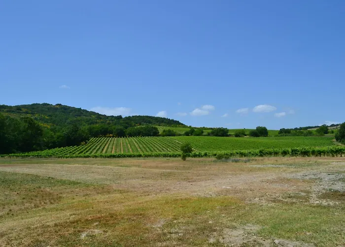 Barcavecchia アパート Castel Viscardo