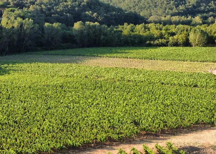 アパート Barcavecchia Castel Viscardo