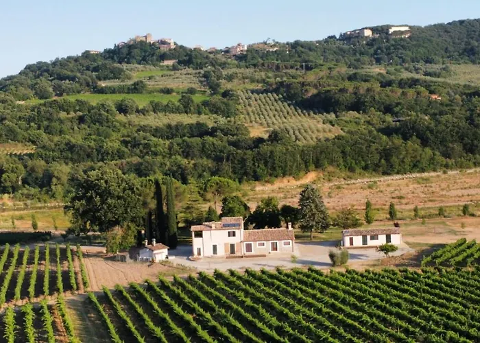 アパート Barcavecchia Castel Viscardo